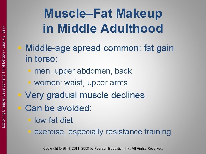 Exploring Lifespan Development Third Edition Laura E. Berk Muscle–Fat Makeup in Middle Adulthood §