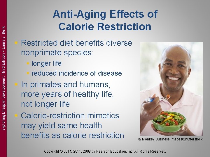 Exploring Lifespan Development Third Edition Laura E. Berk Anti-Aging Effects of Calorie Restriction §