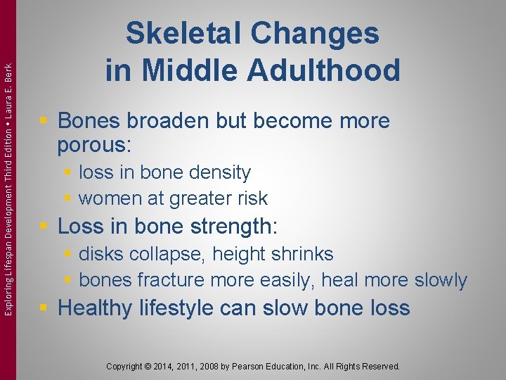 Exploring Lifespan Development Third Edition Laura E. Berk Skeletal Changes in Middle Adulthood §