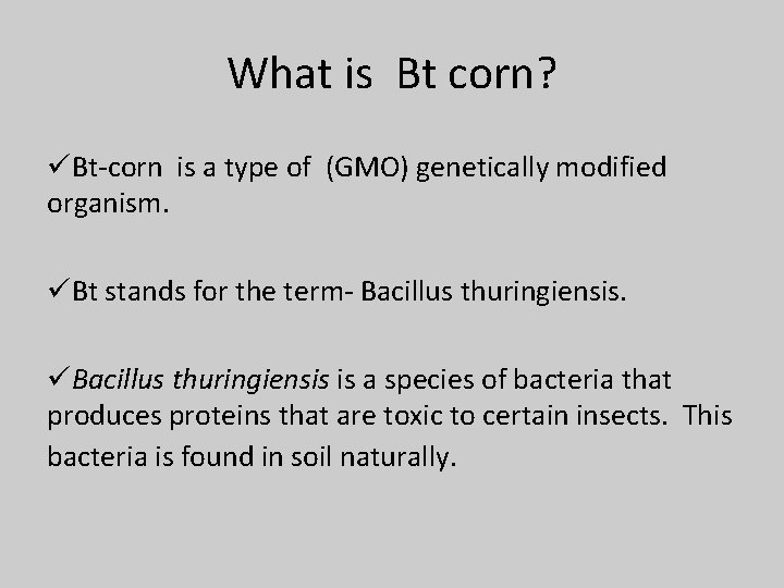 What is Bt corn? üBt-corn is a type of (GMO) genetically modified organism. üBt