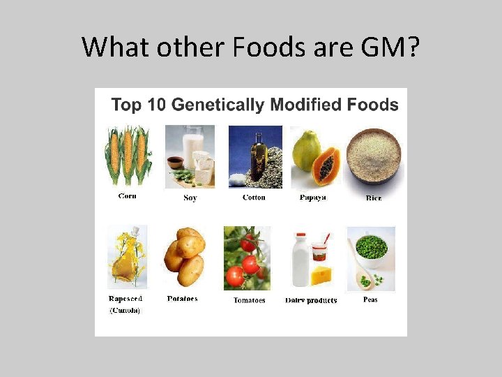 What other Foods are GM? 