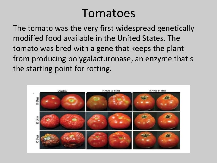 Tomatoes The tomato was the very first widespread genetically modified food available in the