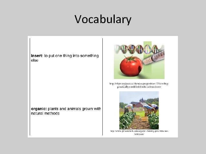 Vocabulary 