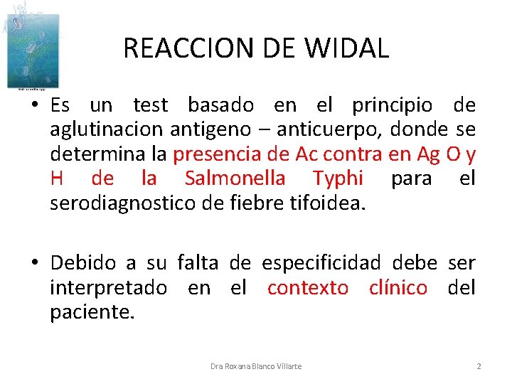 REACCION DE WIDAL • Es un test basado en el principio de aglutinacion antigeno