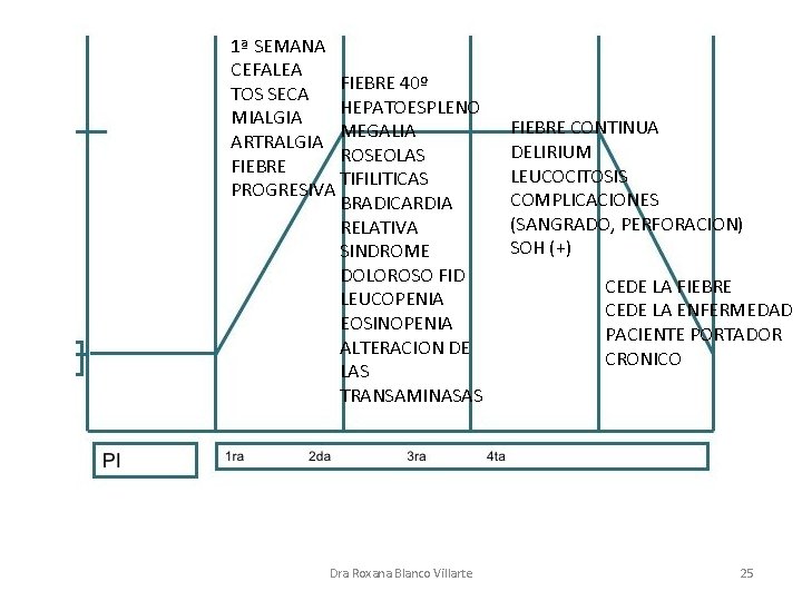 1ª SEMANA CEFALEA FIEBRE 40º TOS SECA HEPATOESPLENO MIALGIA MEGALIA ARTRALGIA ROSEOLAS FIEBRE TIFILITICAS