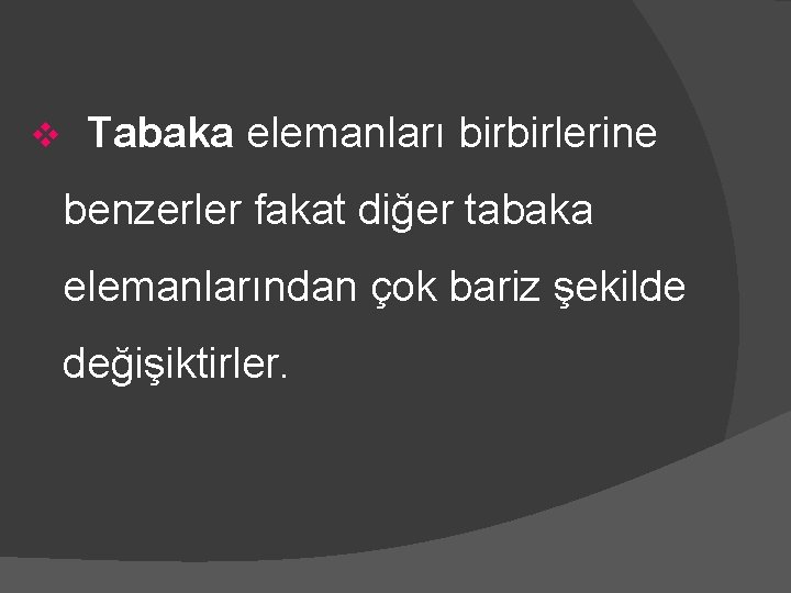 v Tabaka elemanları birbirlerine benzerler fakat diğer tabaka elemanlarından çok bariz şekilde değişiktirler. 