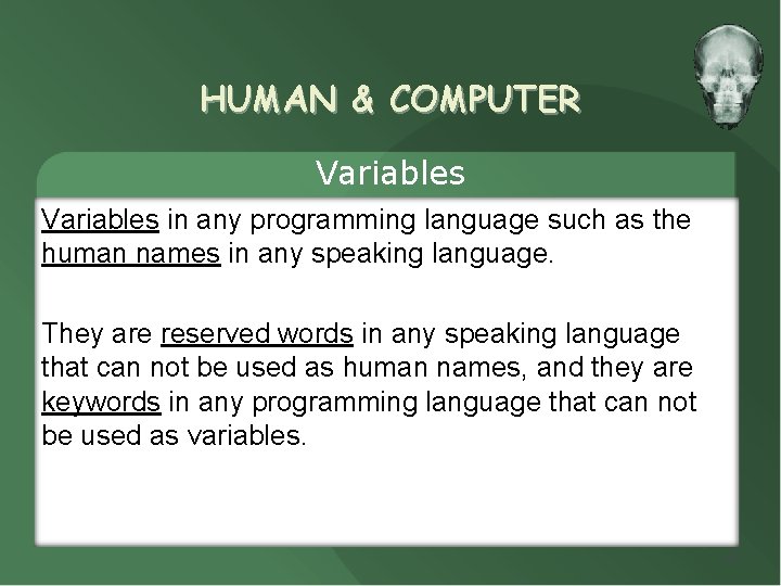 HUMAN & COMPUTER Variables in any programming language such as the human names in HUMAN & COMPUTER Variables in any programming language such as the human names in