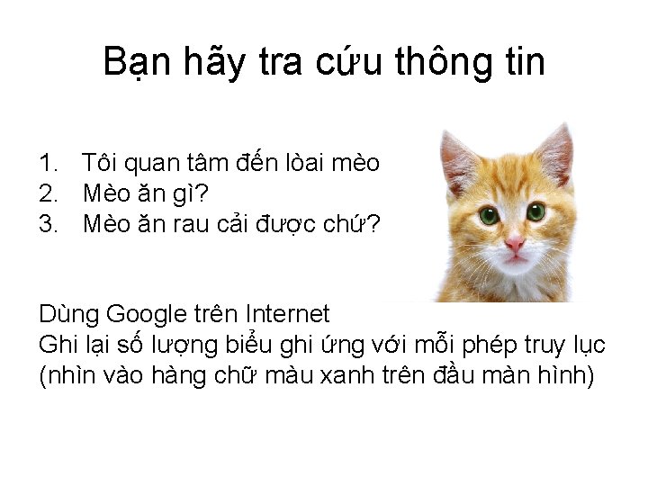 Bạn hãy tra cứu thông tin 1. Tôi quan tâm đến lòai mèo 2.