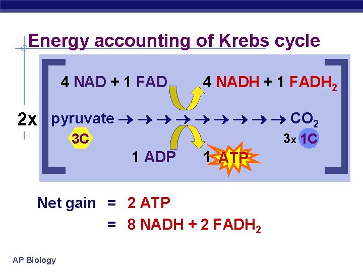 Energy accounting of Krebs cycle 4 NAD + 1 FAD 4 NADH + 1