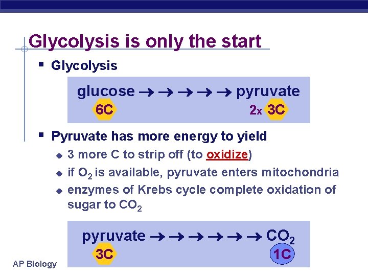 Glycolysis is only the start § Glycolysis glucose pyruvate 6 C 2 x 3