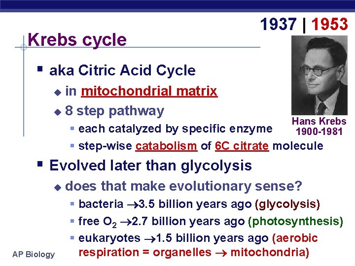 Krebs cycle 1937 | 1953 § aka Citric Acid Cycle in mitochondrial matrix u