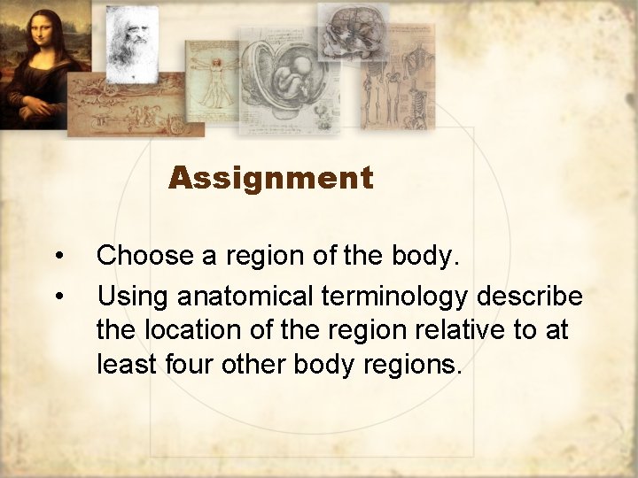 Assignment • • Choose a region of the body. Using anatomical terminology describe the