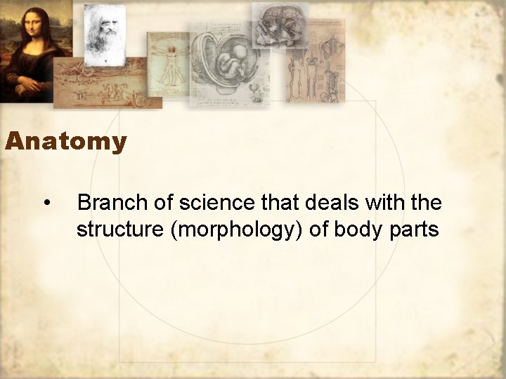 Anatomy • Branch of science that deals with the structure (morphology) of body parts