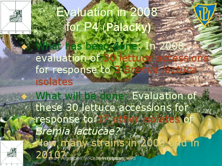 Evaluation in 2008 for P 4 (Palacky) u u What has been done: In