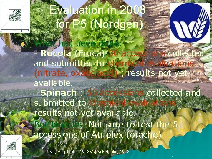 Evaluation in 2008 for P 5 (Nordgen) u u What has been done: -