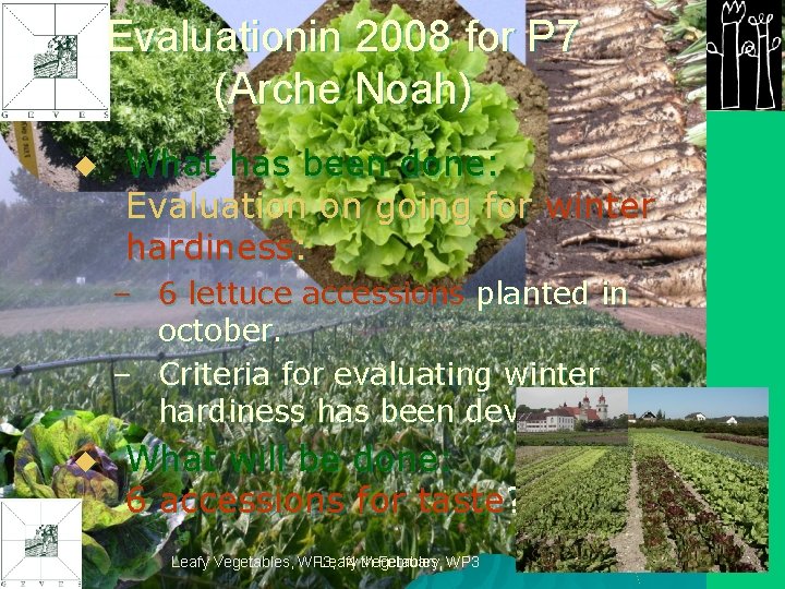 Evaluationin 2008 for P 7 (Arche Noah) u What has been done: Evaluation on