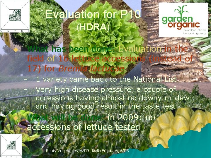 Evaluation for P 10 (HDRA) u What has been done: Evaluation in the field