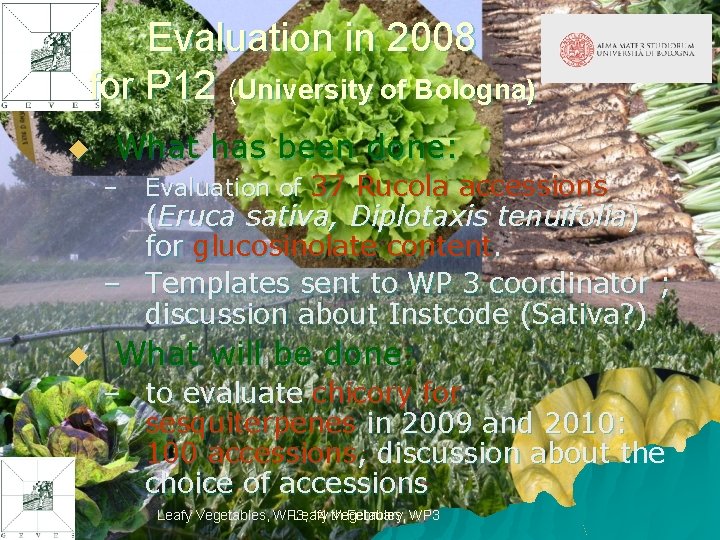 Evaluation in 2008 for P 12 (University of Bologna) u What has been done: