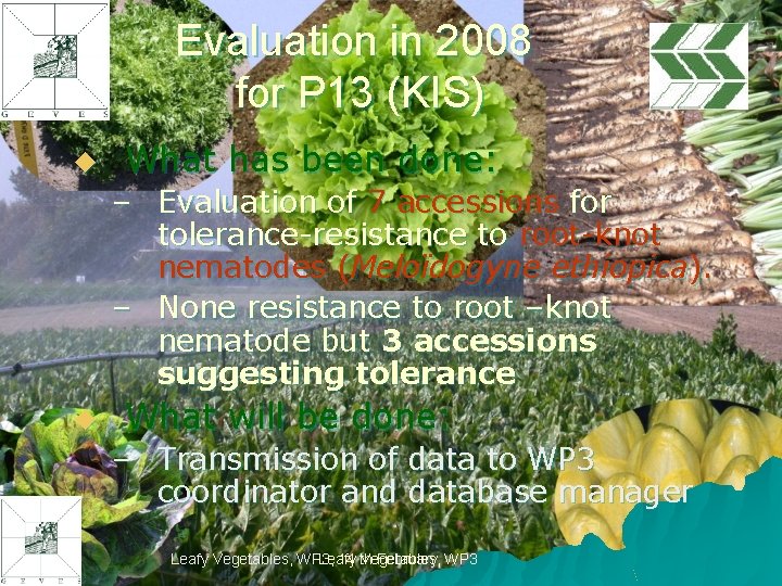 Evaluation in 2008 for P 13 (KIS) u What has been done: – Evaluation