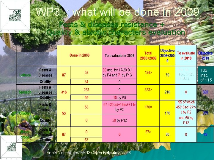 WP 3 : what will be done in 2009 Pests & diseases resistance +