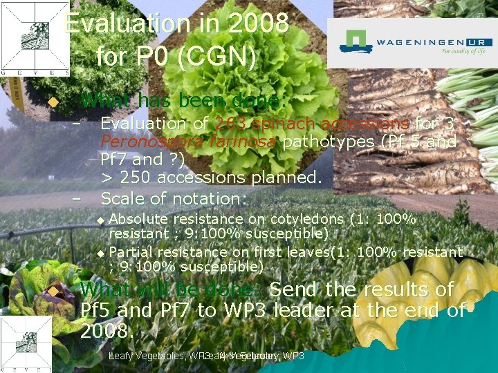 Evaluation in 2008 for P 0 (CGN) u What has been done: – –