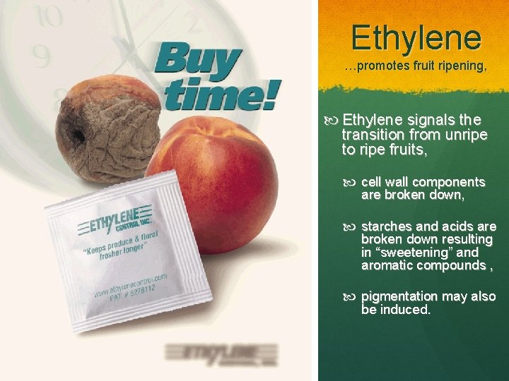 Ethylene …promotes fruit ripening, Ethylene signals the transition from unripe to ripe fruits, cell