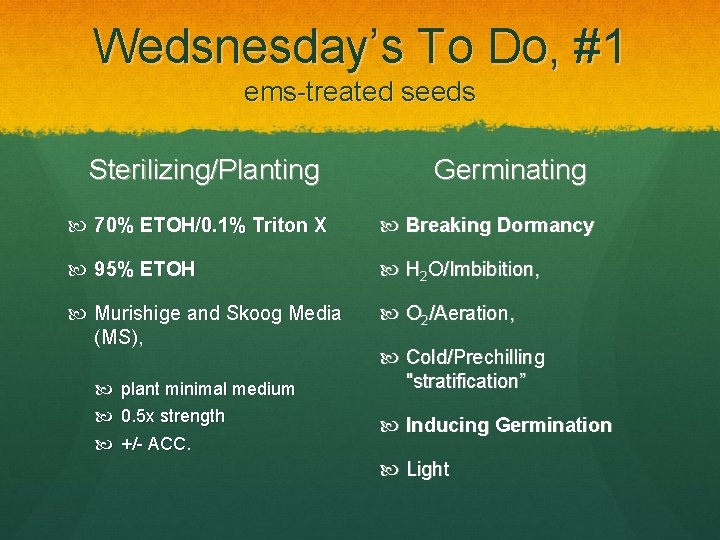 Wedsnesday’s To Do, #1 ems-treated seeds Sterilizing/Planting Germinating 70% ETOH/0. 1% Triton X Breaking