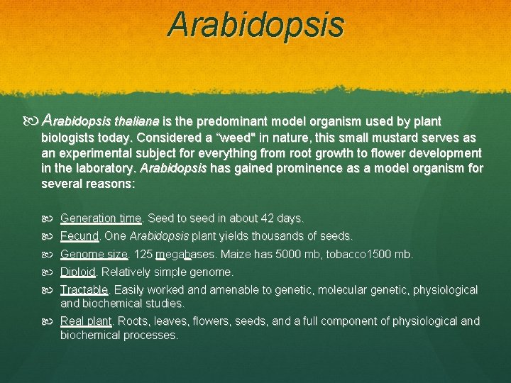 Arabidopsis thaliana is the predominant model organism used by plant biologists today. Considered a