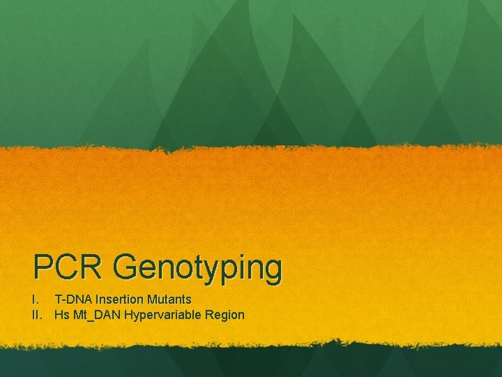 PCR Genotyping I. T-DNA Insertion Mutants II. Hs Mt_DAN Hypervariable Region 