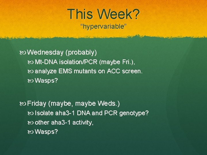 This Week? “hypervariable” Wednesday (probably) Mt-DNA isolation/PCR (maybe Fri. ), analyze EMS mutants on