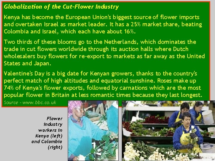 Globalization of the Cut-Flower Industry Kenya has become the European Union's biggest source of