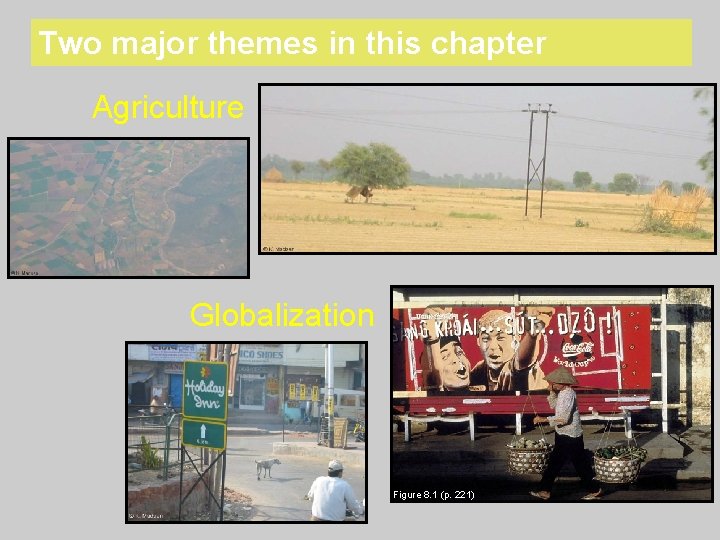Two major themes in this chapter Agriculture Globalization Figure 8. 1 (p. 221) 