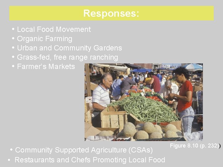 Responses: • Local Food Movement • Organic Farming • Urban and Community Gardens •