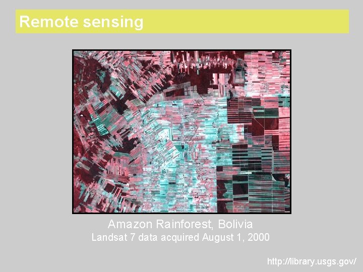 Remote sensing Amazon Rainforest, Bolivia Landsat 7 data acquired August 1, 2000 http: //library.