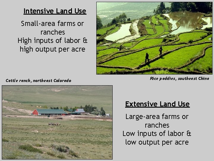Intensive Land Use Small-area farms or ranches High inputs of labor & high output
