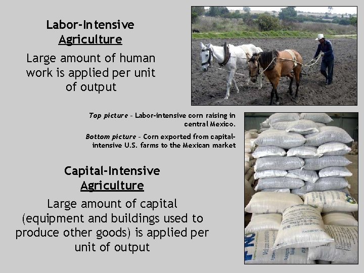 Labor-Intensive Agriculture Large amount of human work is applied per unit of output Top