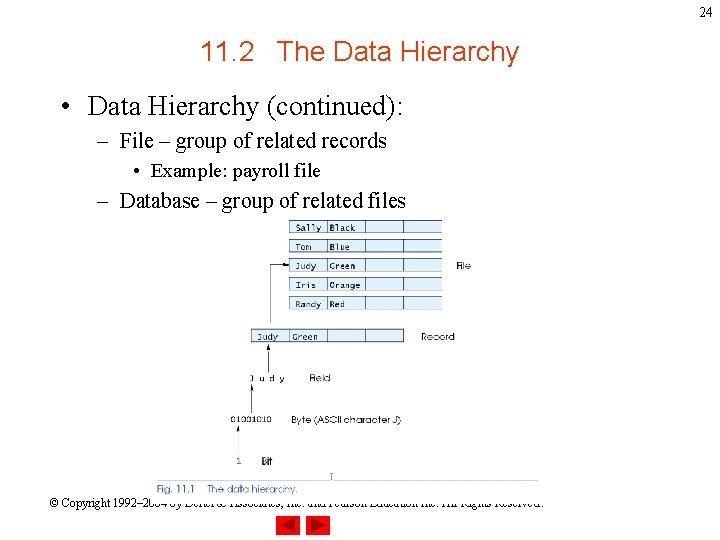 24 11. 2 The Data Hierarchy • Data Hierarchy (continued): – File – group