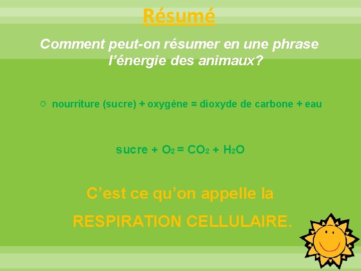 Résumé Comment peut-on résumer en une phrase l’énergie des animaux? nourriture (sucre) + oxygène