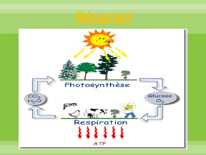 Résumer 