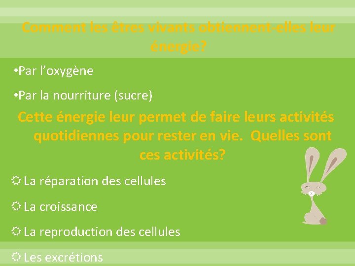 Comment les êtres vivants obtiennent-elles leur énergie? • Par l’oxygène • Par la nourriture