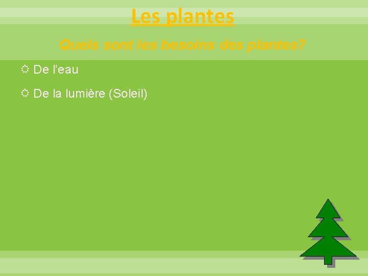 Les plantes Quels sont les besoins des plantes? De l’eau De la lumière (Soleil)