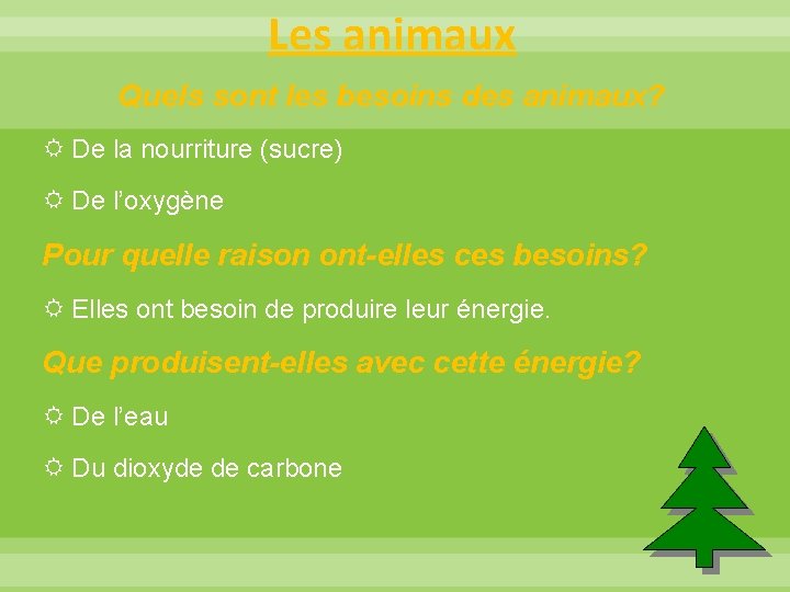 Les animaux Quels sont les besoins des animaux? De la nourriture (sucre) De l’oxygène