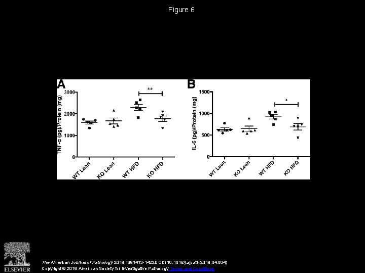 Figure 6 The American Journal of Pathology 2019 1891413 -1422 DOI: (10. 1016/j. ajpath.