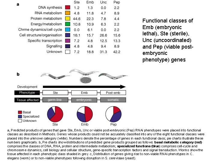 Functional classes of Emb (embryonic lethal), Ste (sterile), Unc (uncoordinated) and Pep (viable postembryonic