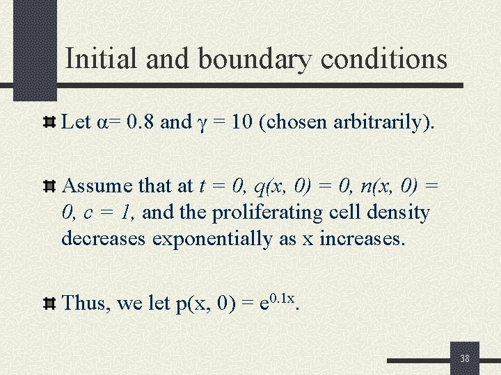Initial and boundary conditions Let α= 0. 8 and γ = 10 (chosen arbitrarily).