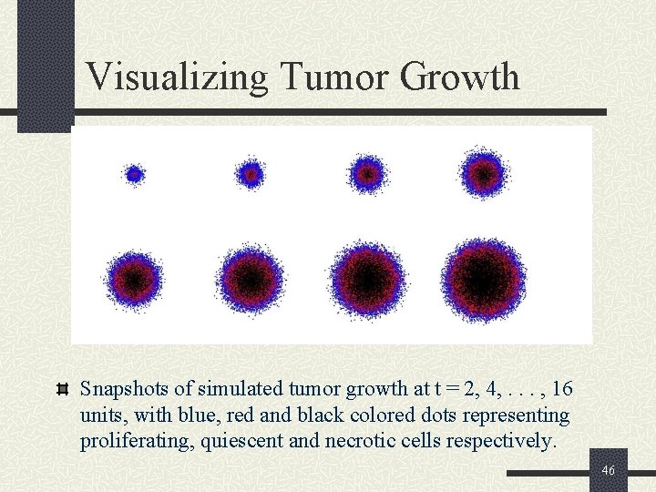 Visualizing Tumor Growth Snapshots of simulated tumor growth at t = 2, 4, .