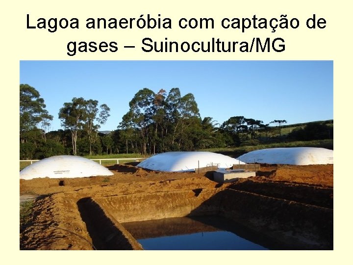 Lagoa anaeróbia com captação de gases – Suinocultura/MG 