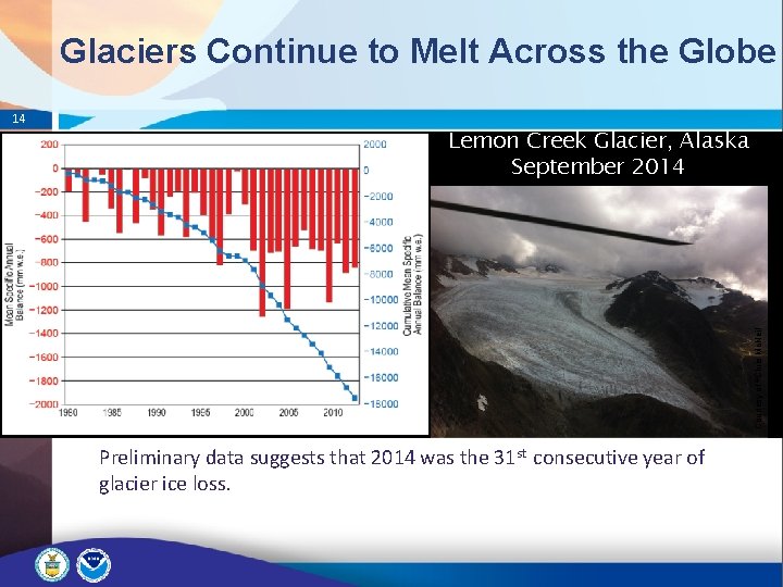 Glaciers Continue to Melt Across the Globe Lemon Creek Glacier, Alaska September 2014 Courtesy