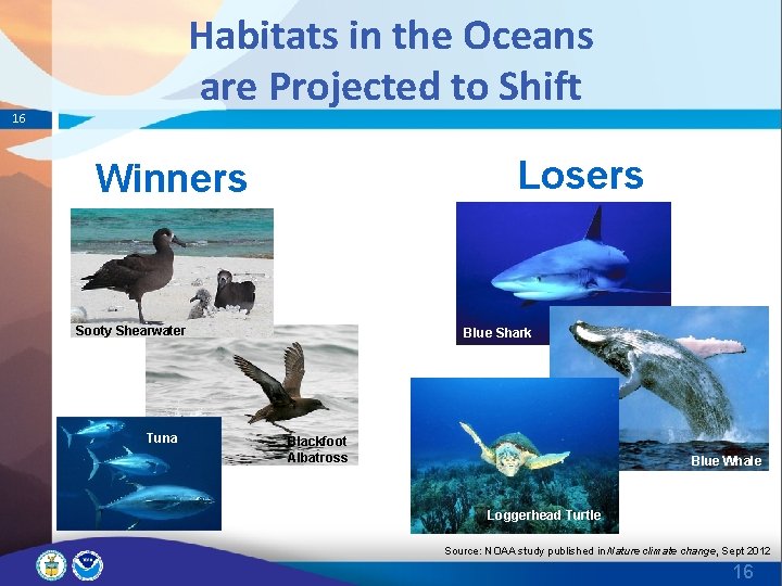 Habitats in the Oceans are Projected to Shift 16 Losers Winners Sooty Shearwater Tuna