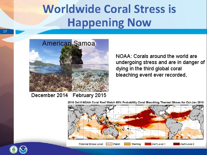 17 Worldwide Coral Stress is Happening Now American Samoa NOAA: Corals around the world